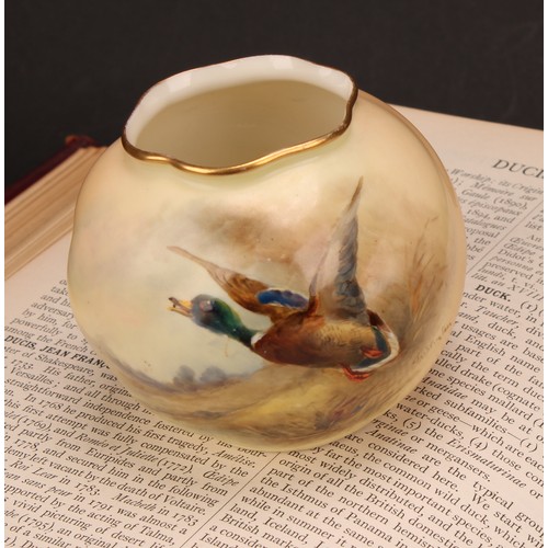 74 - A Royal Worcester wrythen moulded globular vase, painted by James Stinton, signed, with a mallard in... 