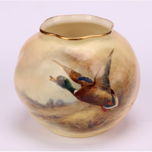 74 - A Royal Worcester wrythen moulded globular vase, painted by James Stinton, signed, with a mallard in... 