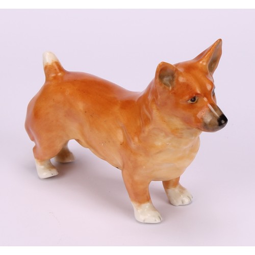 69 - A Royal Worcester model, of a Corgi, 9cm long, printed mark in black, shape 3243, date code for 1955... 