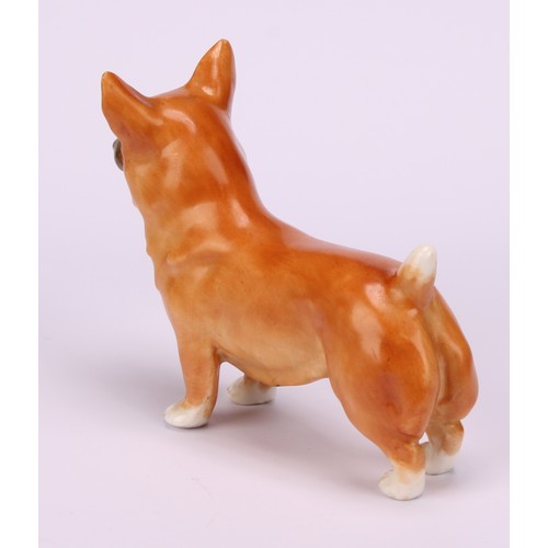 69 - A Royal Worcester model, of a Corgi, 9cm long, printed mark in black, shape 3243, date code for 1955... 