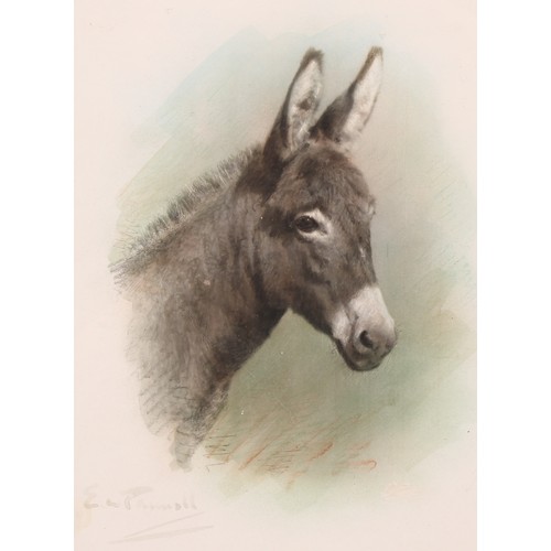 384 - E.W. Pownall (?) (20th century English School)
Portrait of a Donkey
signed, watercolour, gilt frame,... 