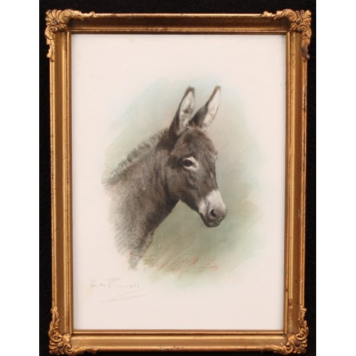 384 - E.W. Pownall (?) (20th century English School)
Portrait of a Donkey
signed, watercolour, gilt frame,... 