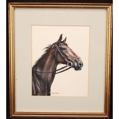 503 - Mary S. Jones (?) (20th century English School)
Portrait of a Thoroughbred Horse
signed, oil on pape... 