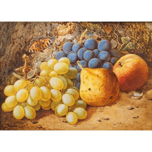 395 - Piggott (19th century English School)
Still Life of Fruit with Butterfly
signed, gouache, 21cm x 29c... 