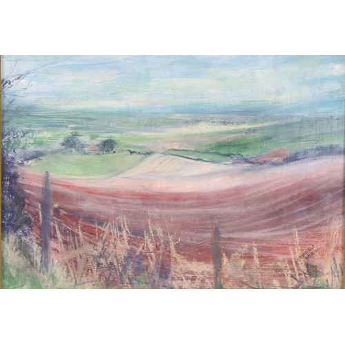 382 - C. Somerset (British School, 20th century)
On Top of the Downs
signed, dated 2003, pastel, 40cm x 56... 