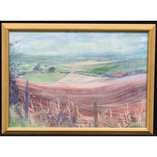 382 - C. Somerset (British School, 20th century)
On Top of the Downs
signed, dated 2003, pastel, 40cm x 56... 