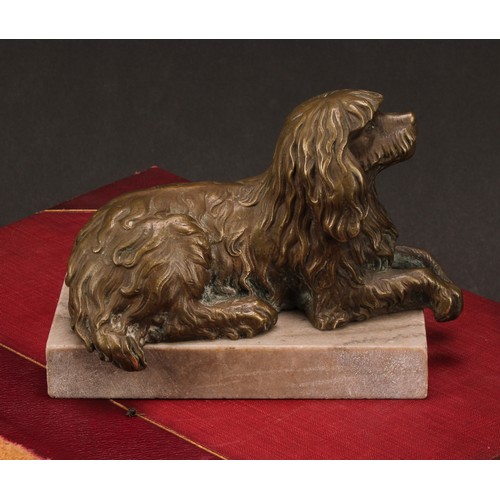 1925 - English School (19th/early 20th century), a patinated bronze, of an Irish Water Spaniel, rectangular... 