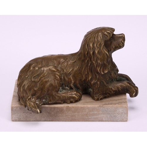 1925 - English School (19th/early 20th century), a patinated bronze, of an Irish Water Spaniel, rectangular... 