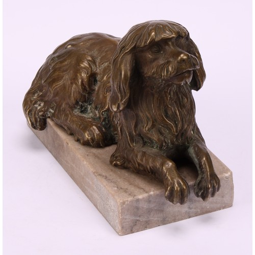 1925 - English School (19th/early 20th century), a patinated bronze, of an Irish Water Spaniel, rectangular... 