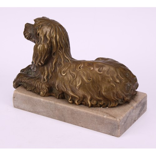 1925 - English School (19th/early 20th century), a patinated bronze, of an Irish Water Spaniel, rectangular... 