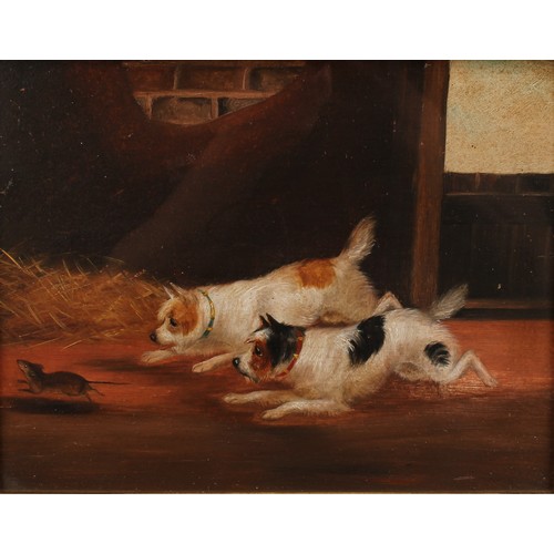 495 - Manner of George Armfield,
The Kill, Terriers rat-baiting,
oil on board, 22cm x 28.5cm