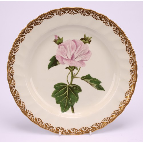 98 - A Derby botanical lobed circular dish, the field painted with floral study, titled to verso Lavatera... 