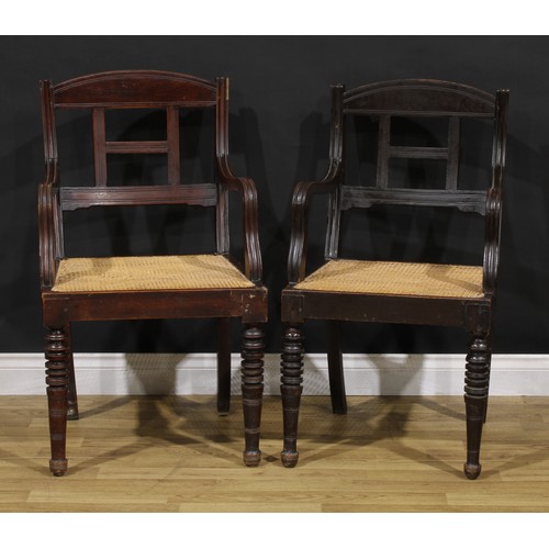 1542 - A pair of 19th century Colonial armchairs, curved cresting rails, downswept arms, cane seats, ring-t... 