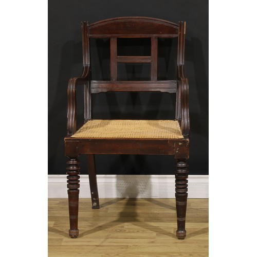 1542 - A pair of 19th century Colonial armchairs, curved cresting rails, downswept arms, cane seats, ring-t... 