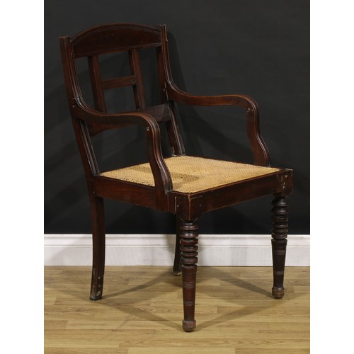 1542 - A pair of 19th century Colonial armchairs, curved cresting rails, downswept arms, cane seats, ring-t... 