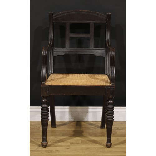 1542 - A pair of 19th century Colonial armchairs, curved cresting rails, downswept arms, cane seats, ring-t... 