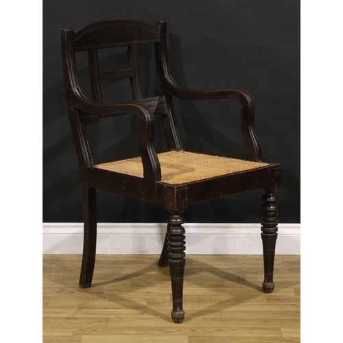 1542 - A pair of 19th century Colonial armchairs, curved cresting rails, downswept arms, cane seats, ring-t... 