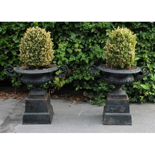 1470 - A pair of cast iron shallow campana shaped garden urns, each rim cast with C-scrolls, acanthus scrol... 