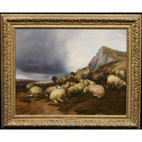 508 - Thomas Sidney Cooper (1803-1902)
Sheep in Coastal Landscape,
faintly signed, the mount inscribed T. ... 