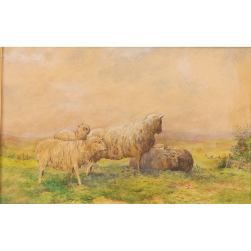 385 - English School (19th century)
A Contented Flock,
indistinctly signed, watercolour, 24.5cm x 38cm