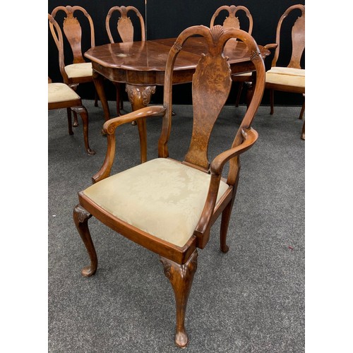 120 - A walnut and burr walnut Queen Anne revival dining suite - comprising six dining chairs, (four side ... 