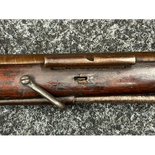 2431 - Percussion Cap Rifled Musket with 795mm long browned Damasus barrel, bore approx. 14mm. Fitted with ... 