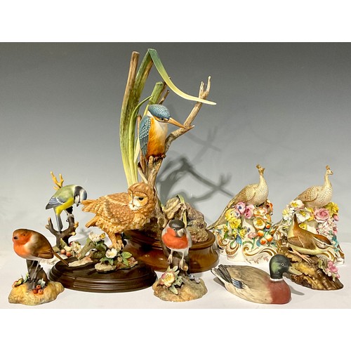 24 - A Royal Crown Derby model, of a Robin; others, Bullfinch, Blue Tit, etc; a near pair of Bloor Derby ... 