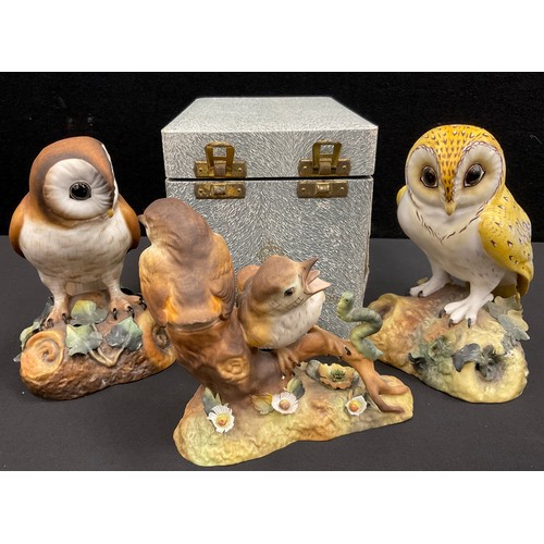 2 - Royal Crown Derby birds including; Brown Owl, painted by A.Wooley, Barn owl, 16cm high, Thrush chick... 