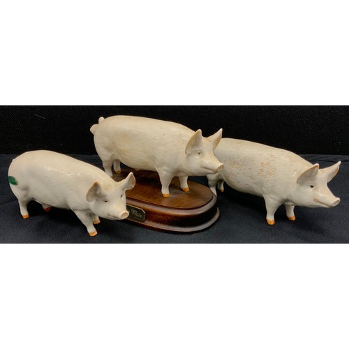 4 - Beswick pigs including; CH Wall Queen, CH Wall Champion Boy, Boar Large white on wooden plinth, 17cm... 