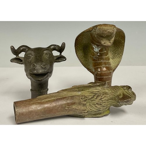 144 - A bronze walking cane handle, in the form of a Macaw; others similar, a striking cobra and a goat (3... 