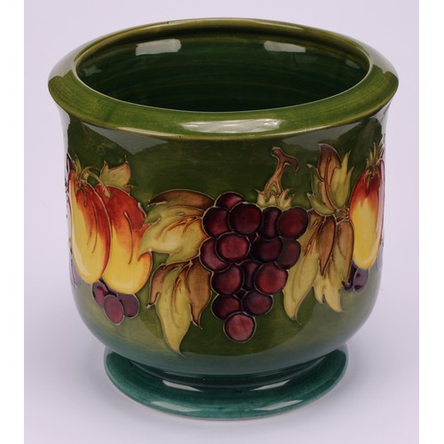 3116 - A Moorcroft Fruit and Vine pattern jardiniere, 17cm high, impressed and painted marks; a Moorcroft H... 