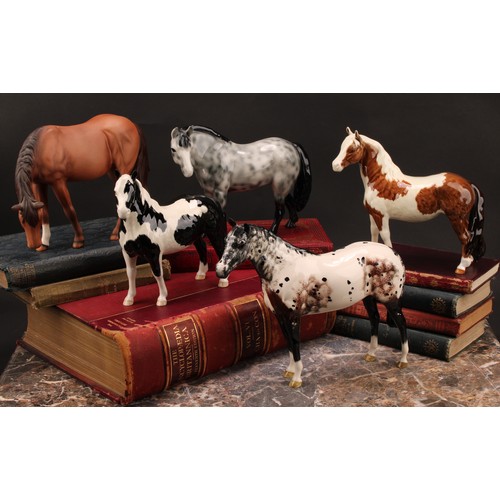 3078 - A Royal Doulton model of an Appaloosa horse, 20cm, printed mark; a Beswick skewbald Pinto pony, 17cm... 