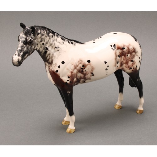 3078 - A Royal Doulton model of an Appaloosa horse, 20cm, printed mark; a Beswick skewbald Pinto pony, 17cm... 