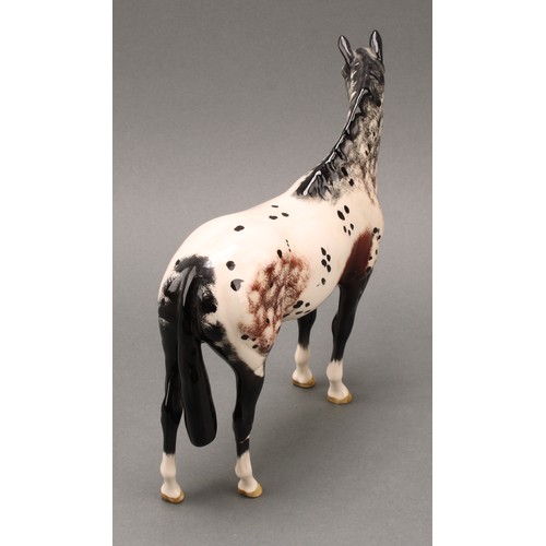 3078 - A Royal Doulton model of an Appaloosa horse, 20cm, printed mark; a Beswick skewbald Pinto pony, 17cm... 