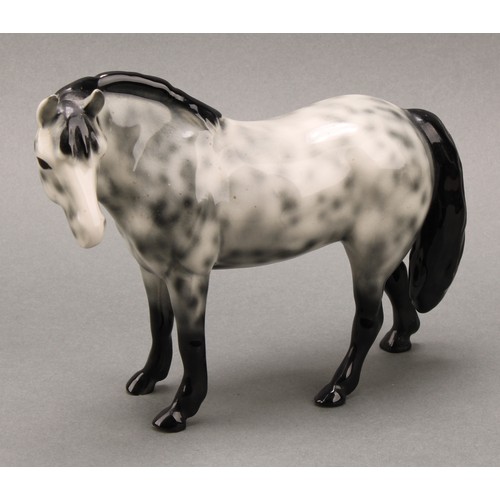 3078 - A Royal Doulton model of an Appaloosa horse, 20cm, printed mark; a Beswick skewbald Pinto pony, 17cm... 