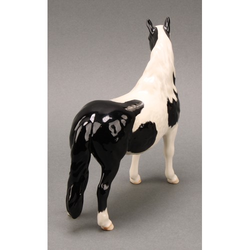 3078 - A Royal Doulton model of an Appaloosa horse, 20cm, printed mark; a Beswick skewbald Pinto pony, 17cm... 