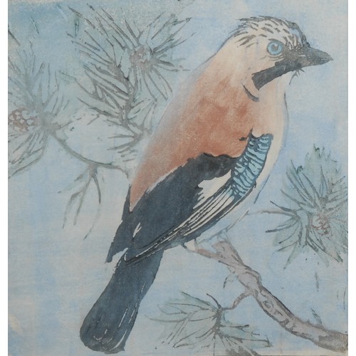 2080 - English School (20th century) 
Jay Perched on Pine Tree 
unsigned, polychrome woodcut, 24cm x 24cm