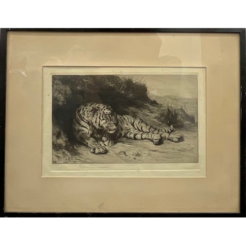 2151 - Herbert Thomas Dicksee (1862 - 1942), Tiger,  
etching, signed in pencil, 20cm x 30cm