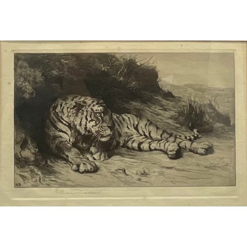 2151 - Herbert Thomas Dicksee (1862 - 1942), Tiger,  
etching, signed in pencil, 20cm x 30cm