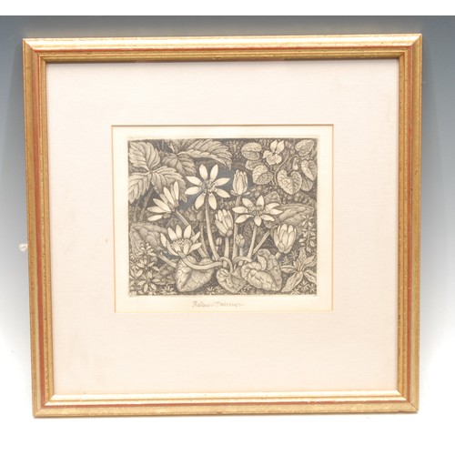 2308 - Robin Tanner (1904-1988) 
Lesser Celandine 
signed, etching, 13cm x 15.5cm