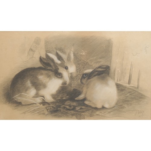 2222 - Joseph Wolf (1820 - 1899)
Rabbits   
signed, pencil drawing, 26.5cm x 44cm