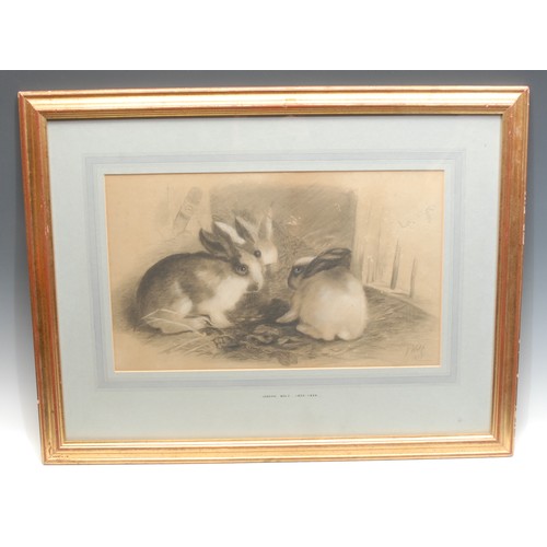 2222 - Joseph Wolf (1820 - 1899)
Rabbits   
signed, pencil drawing, 26.5cm x 44cm