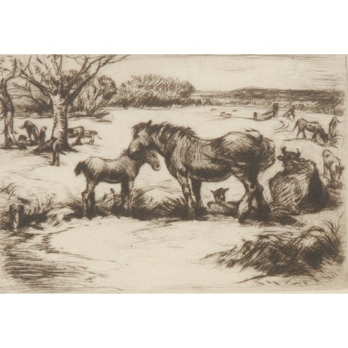 2127 - Greta Delleany (1884-1968) 
Spring in The New Forest 
signed, titled, etching, 11.5cm x 15cm