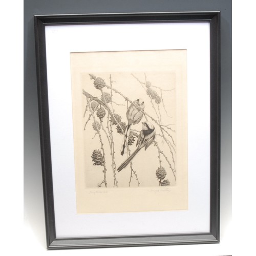 2355 - Winifred Austin (1876-1964) 
Long-Tailed Tits 
signed, titled, etching, 29.5cm x 20cm