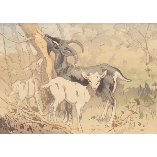 2009 - Allen W. Seaby (1867-1953) 
Goats And Kids
signed, colour woodcut, 24cm x 32cm