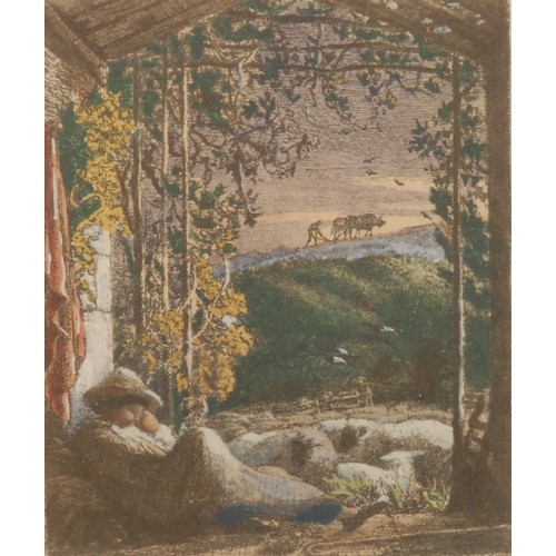 2313 - Samuel Palmer (1805 - 1881), after, Sleeping Shepherd, colour print, 11cm x 9cm, maple frame