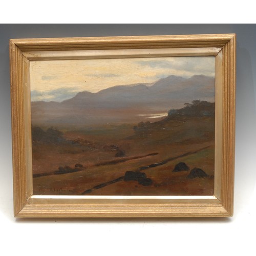 2059 - Edward Loxton Knight (1905-1993) 
Morning Light, Bala 
signed, titled, oil on board, 25cm x 32cm