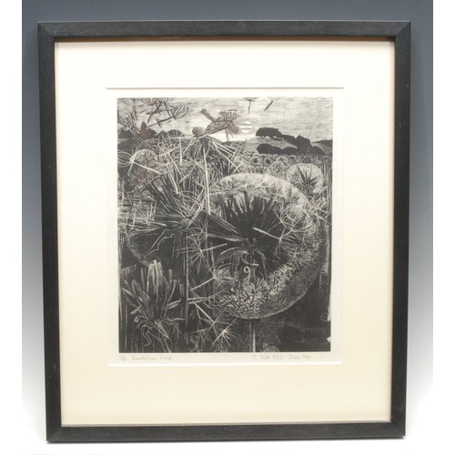 2120 - George Tute RE (b. 1945-) 
Dandelion Field 
signed, titled, 12/50, dated 1964, wood engraving, 26cm ... 