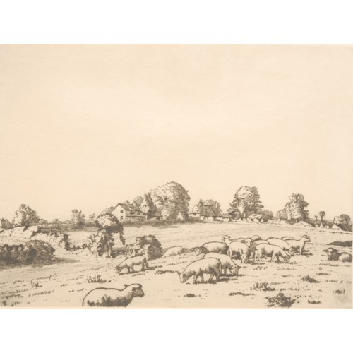 2006 - Allan Gwynne-Jones (1892-1982) 
Lambs on a Hillside 
signed, dated 1927, etching, 23cm x 30cm