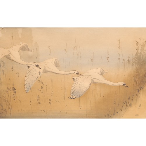 2003 - Alan William Seaby   
Swans in Flight    
signed, colour woodcut, 33cm x 20.8cm